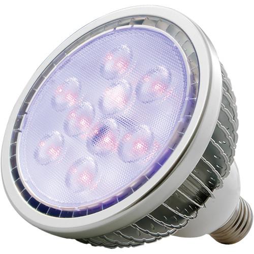 American DJ BLB7W Ultraviolet LED Blacklight Bulb BLB7W