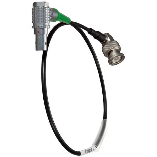 Ambient Recording BNC to LEMO 5-Pin Input Cable LTC-IN-RA180