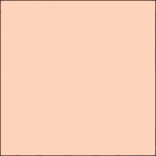 Gam NCR6 Filter - Rosey Accent - 20x24