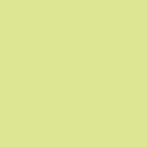 Rosco #3304 Tough Plusgreen Fluorescent Sleeve 110084014812-3304