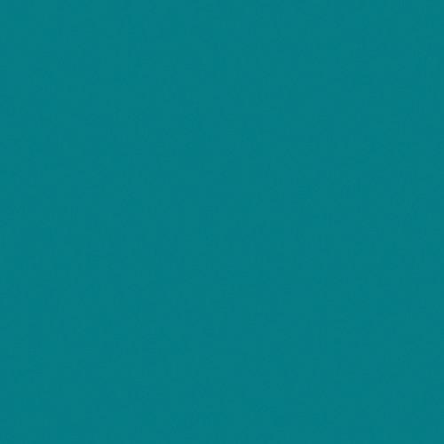 Rosco #93 Blue Green Fluorescent Sleeve T12 110084014812-93