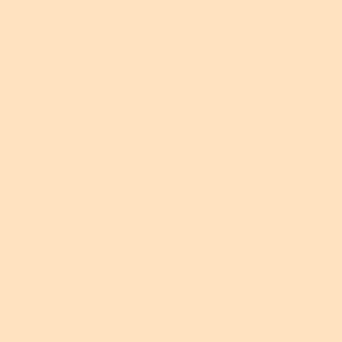 Rosco E-Colour #103 Straw (48