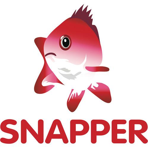 Audio Ease Snapper 2 - Audio Playback and Format SNUPGR