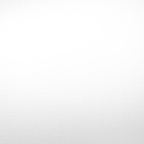 Savage Infinity Vinyl Background (10 x 10', White) V01-1010