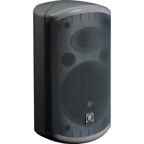 Turbosound IMPACT-55T Compact Passive 2-Way IMPACT-55T
