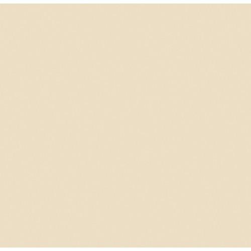 Rosco  RoscoSleeve T5 x 60" 110084016005-3408