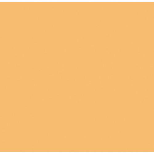 Rosco  RoscoSleeve T5 x 60" 110084016005-3441