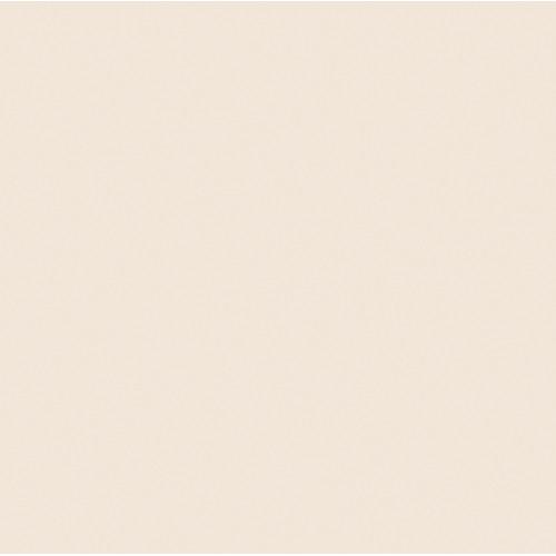 Rosco  RoscoSleeve T5 x 60" 110084016005-3444