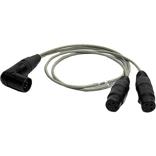 PSC 3-Pin Female XLR to 5-Pin Male XLR Input Cable FPSC1098, PSC, 3-Pin, Female, XLR, to, 5-Pin, Male, XLR, Input, Cable, FPSC1098,