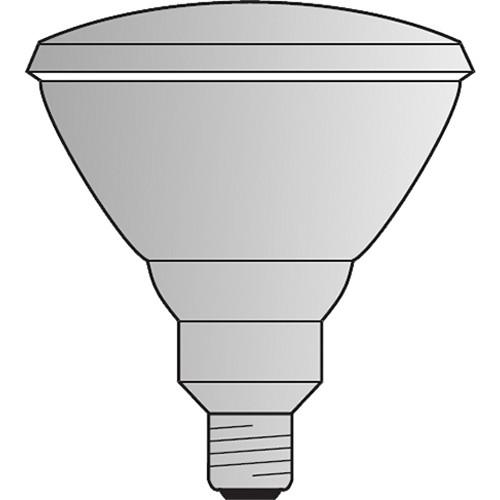 Philips  SP PAR 38 Lamp (250W/125V) 374330