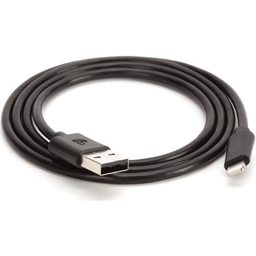 Griffin Technology USB Type A Male to Lightning Male GC36670-2