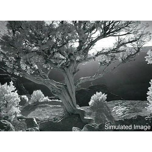 Singh-Ray 130 x 130mm I-Ray Infrared Filter R-109