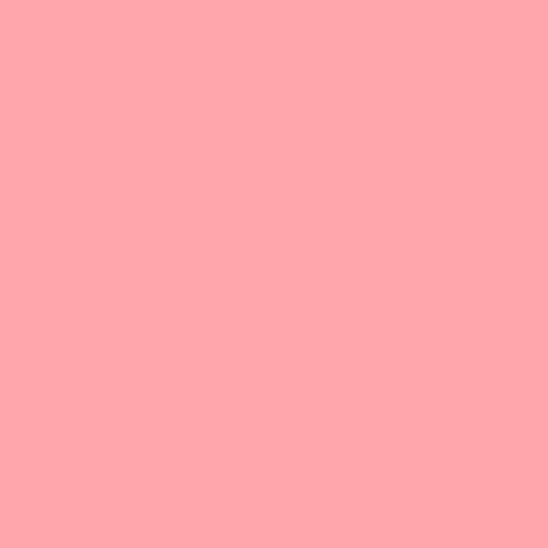 Rosco E-Colour #107 Light Rose (48