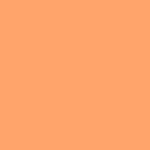Rosco E-Colour #147 Apricot (21x24
