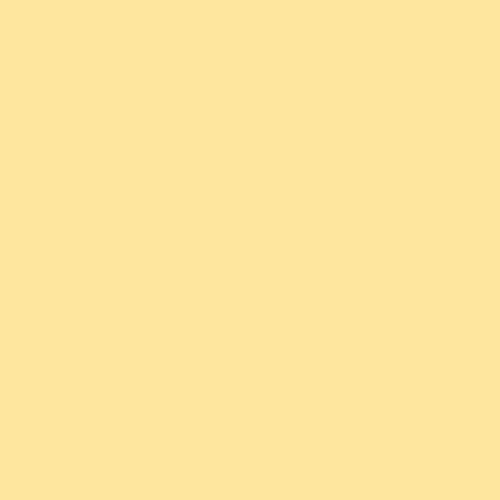 Rosco E-Colour #443 1/4 CT Straw (48