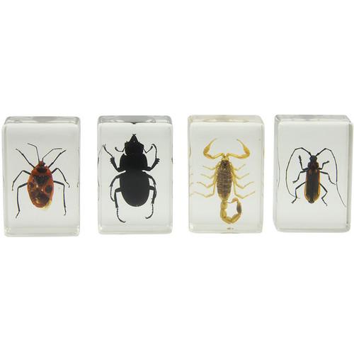 Celestron  3D Bug Specimen Kit #1 44407, Celestron, 3D, Bug, Specimen, Kit, #1, 44407, Video