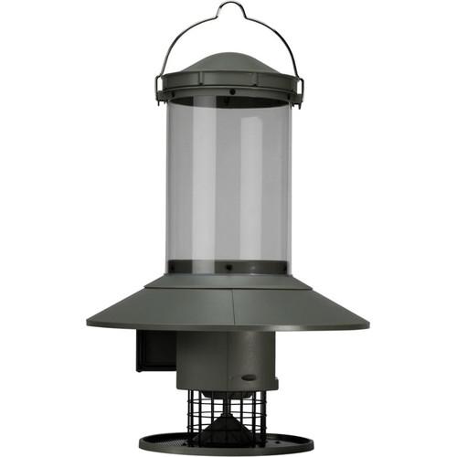 timer bird feeder