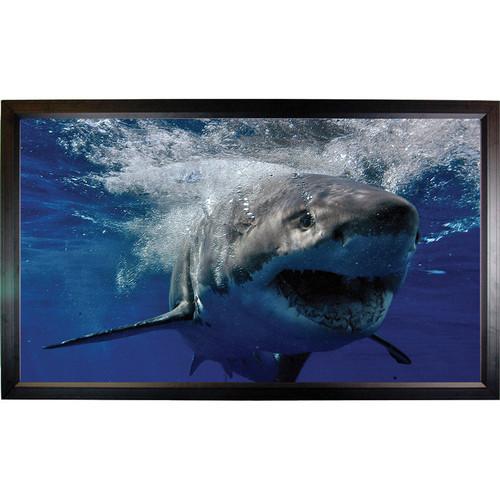 Mustang SC-F106CW169 Fixed Frame Projection Screen SC-F106CW169