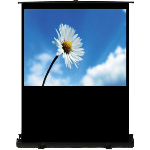 Recordex USA TheaterNow! Portable Pull-Up Screen 803080