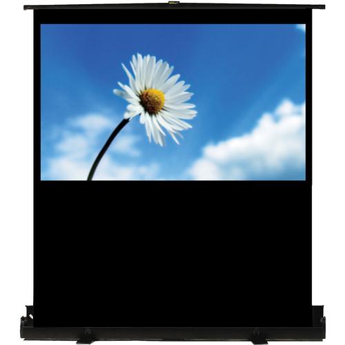 Recordex USA TheaterNow! Portable Pull-Up Screen 809090