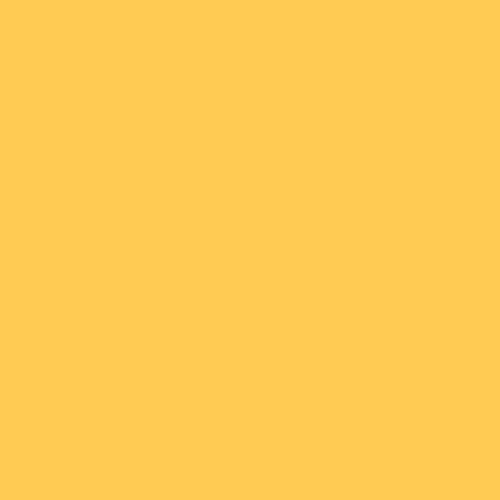 Rosco E-Colour #102 Light Amber (21x24