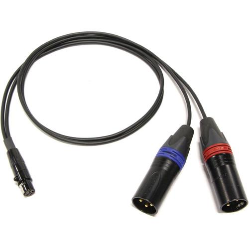 Cable Techniques TA5F to Two 3-Pin XLR CT-PSR5PS-224