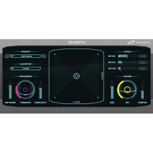 Zynaptiq MORPH 2 - Real-Time Audio Morphing Plug-In MORPH 2