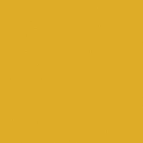 Rosco E-Colour  #642 Half Mustard Yellow 102306422124