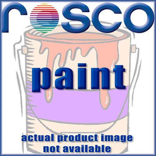 Rosco  Roscoglo Paint 150056660016