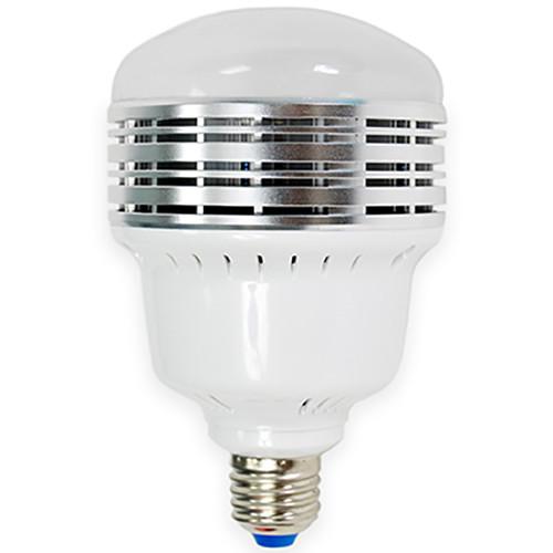 Savage  LED Studio Lamp (30W, 120V) LED30