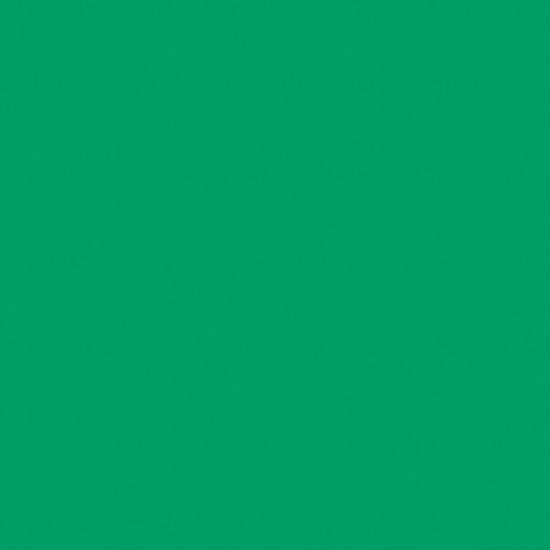 Rosco #89 Moss Green Fluorescent Sleeve T12 110084014812-89
