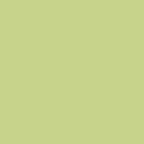 Rosco E-Colour #244 Plus Green (48