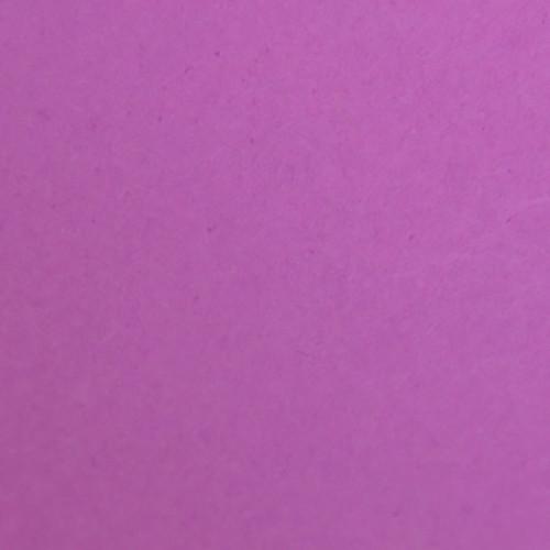 Savage  Widetone Seamless Background Paper 91-50