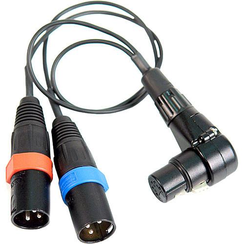 Remote Audio CAZXSTE XLR5F to XLRM3 x 2 Cable CAZXSTE