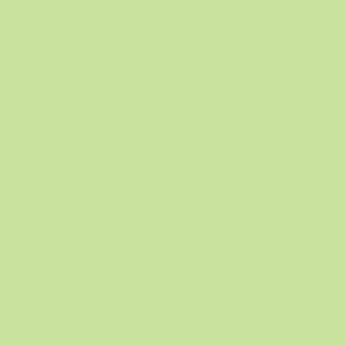 Rosco E-Colour #138 Pale Green (48